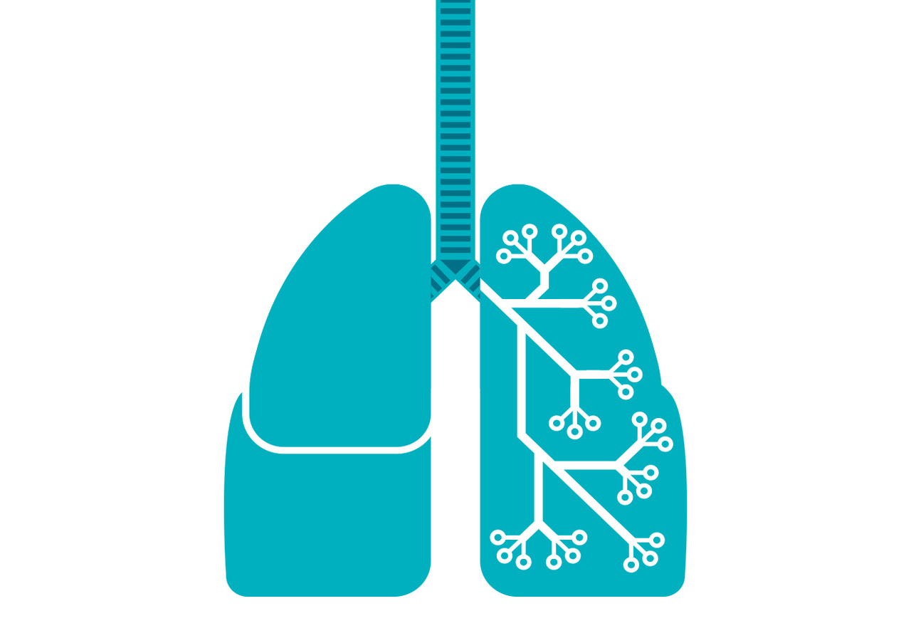 Asma: poluição caiu, mas cuidados são necessários em casa
