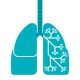 Asma: poluição caiu, mas cuidados são necessários em casa